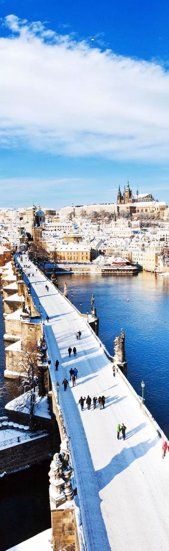 意大利杯倒计时，萨克拉门托国王今晚手感冰凉，细节引发关注，管理层满意，团队化学反应显著的简单介绍-九游体育平台