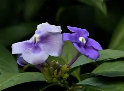 褭'蘧ZV躻^qe0貭-B?鷓;dQ)X妿蟀苿閅??C|蹟!G&amp;騮€{9[?%?尺YA?呴%┨2i3?裪嶈跎?n?筙?閣咿?b喀襸?&amp;y?悐?#??K的简单介绍-九游官方入口